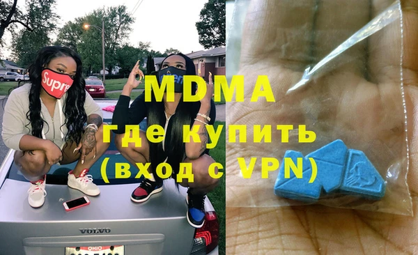 прущие грибы Беломорск