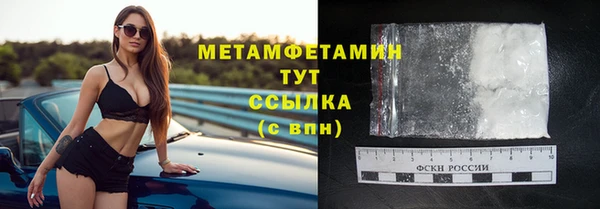 прущие грибы Беломорск