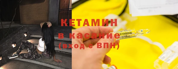 прущие грибы Беломорск