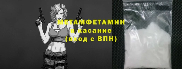 прущие грибы Беломорск