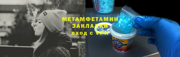 прущие грибы Беломорск