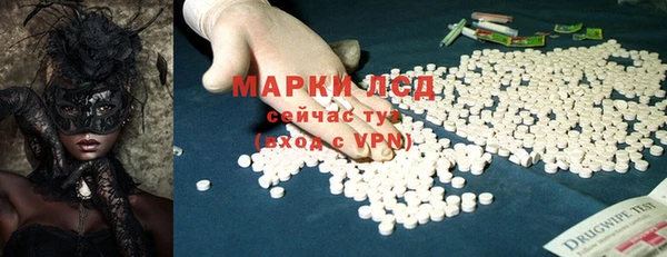 прущие грибы Беломорск