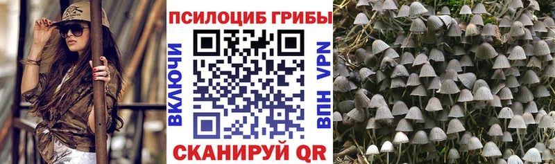 гидра сайт  Реутов  Псилоцибиновые грибы ЛСД 
