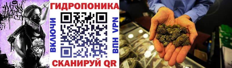 купить закладку  Реутов  Каннабис AK-47 